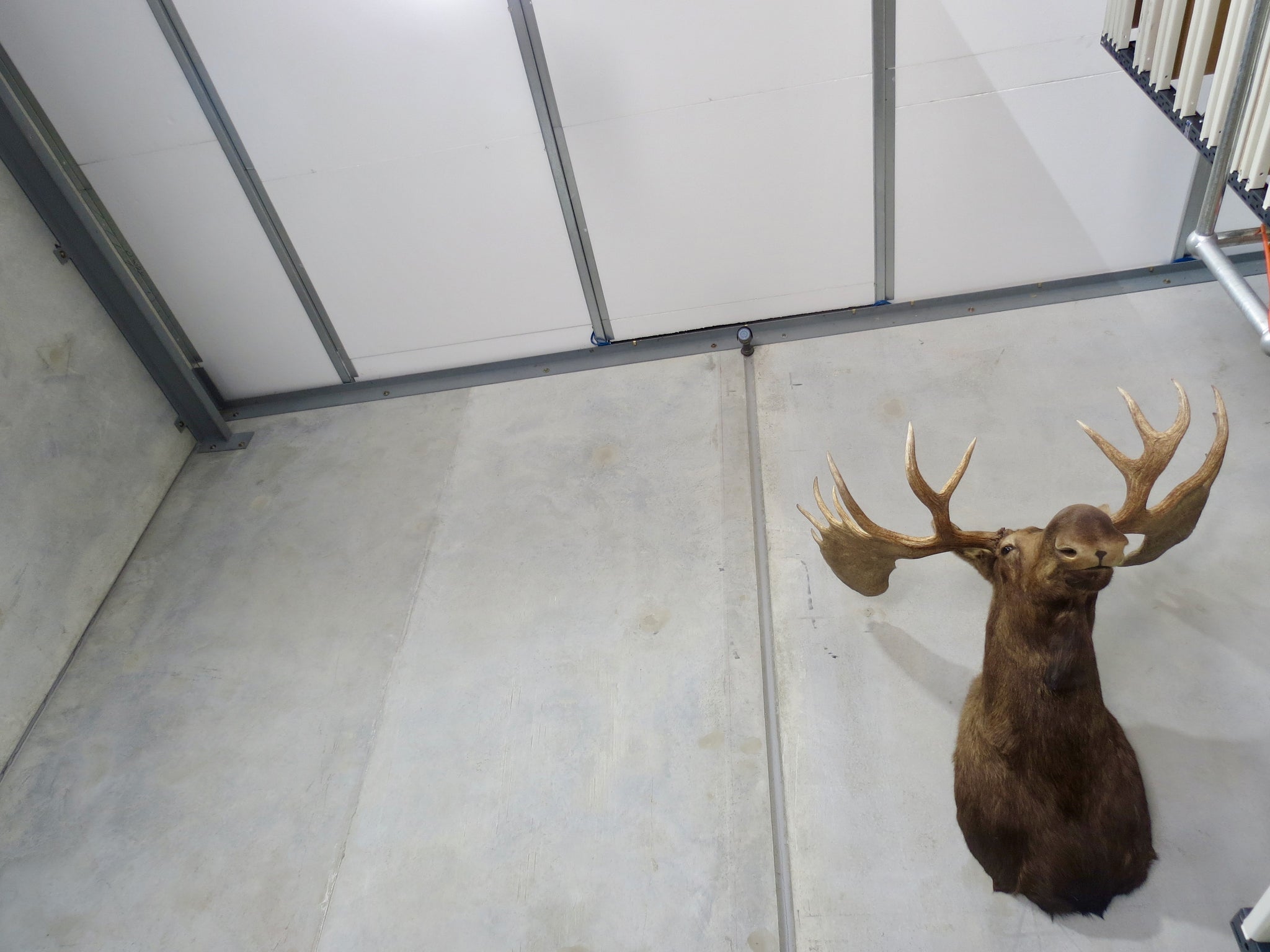 Polystyrene Insulation Perth