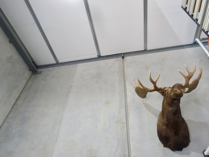 Polystyrene Insulation Perth