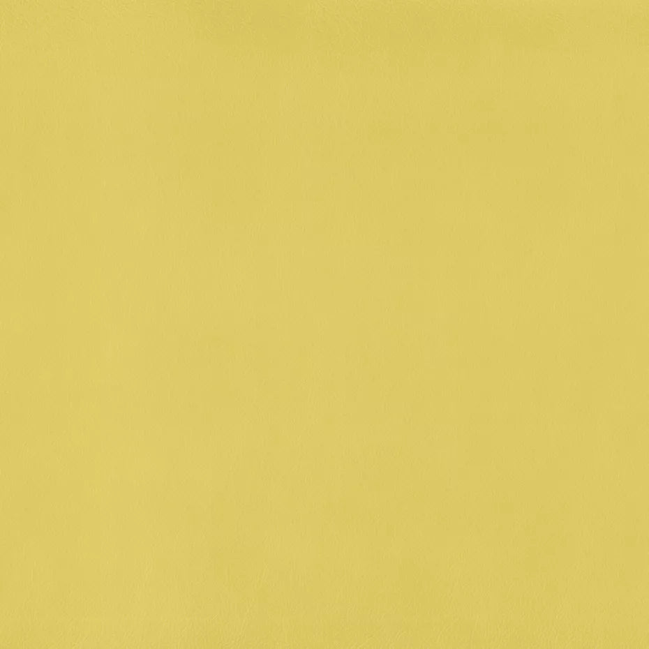 Warwick Lustrell Charisma Vinyl