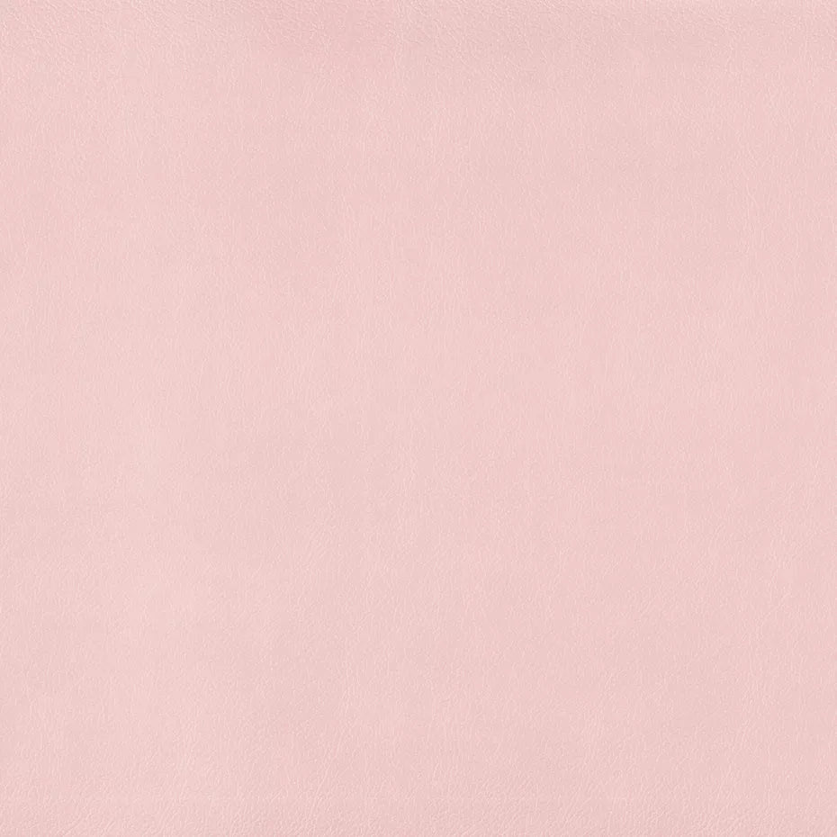 Warwick Lustrell Charisma Vinyl