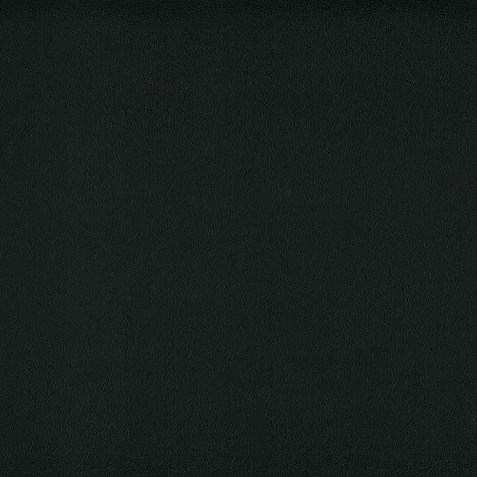 Warwick Lustrell Charisma Vinyl