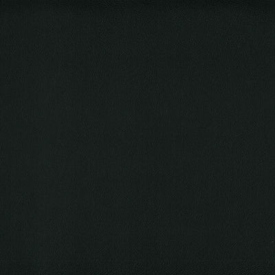 Warwick Lustrell Charisma Vinyl