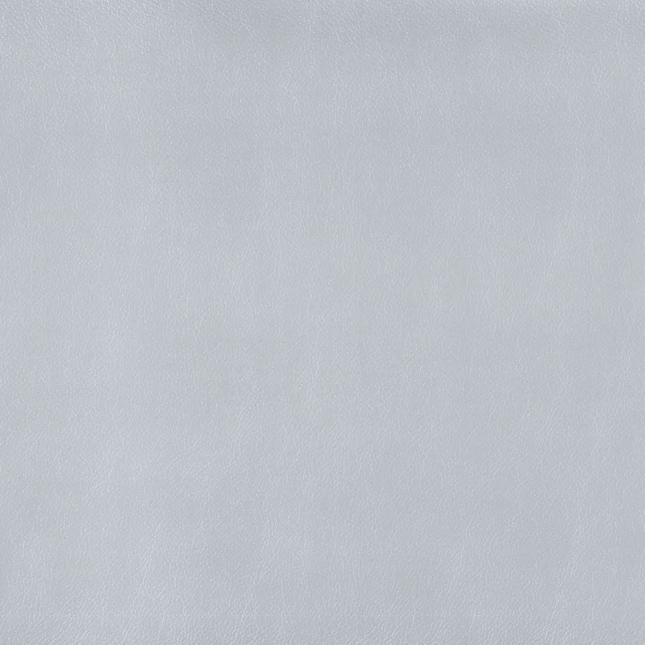 Warwick Lustrell Charisma Vinyl