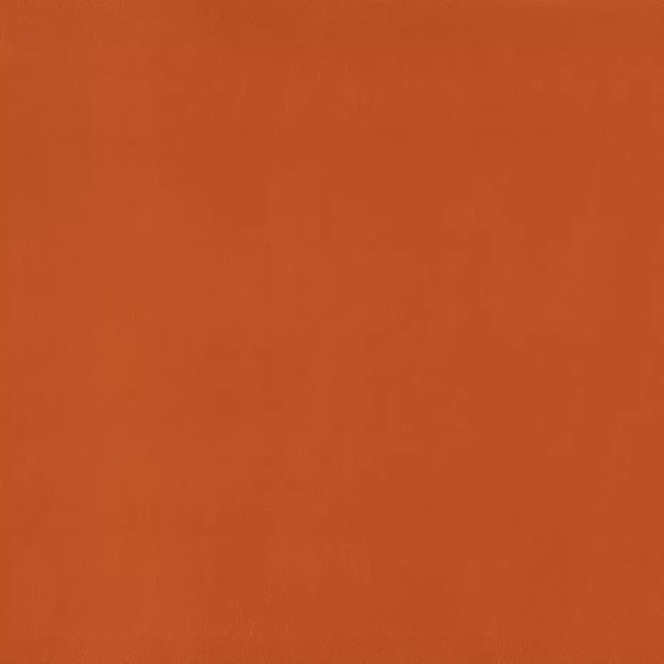 Warwick Lustrell Charisma Vinyl