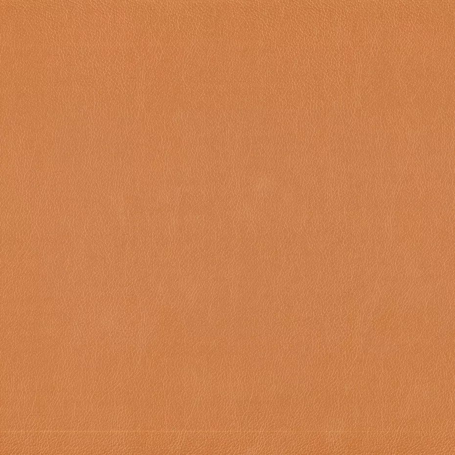 Warwick Lustrell Charisma Vinyl