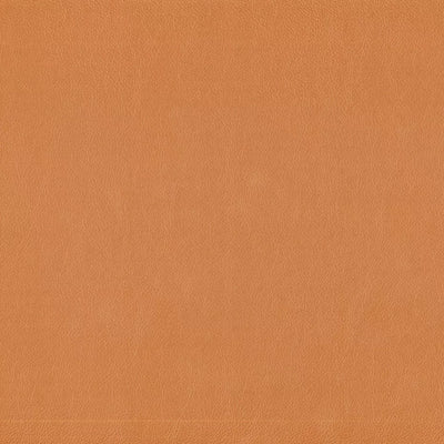 Warwick Lustrell Charisma Vinyl
