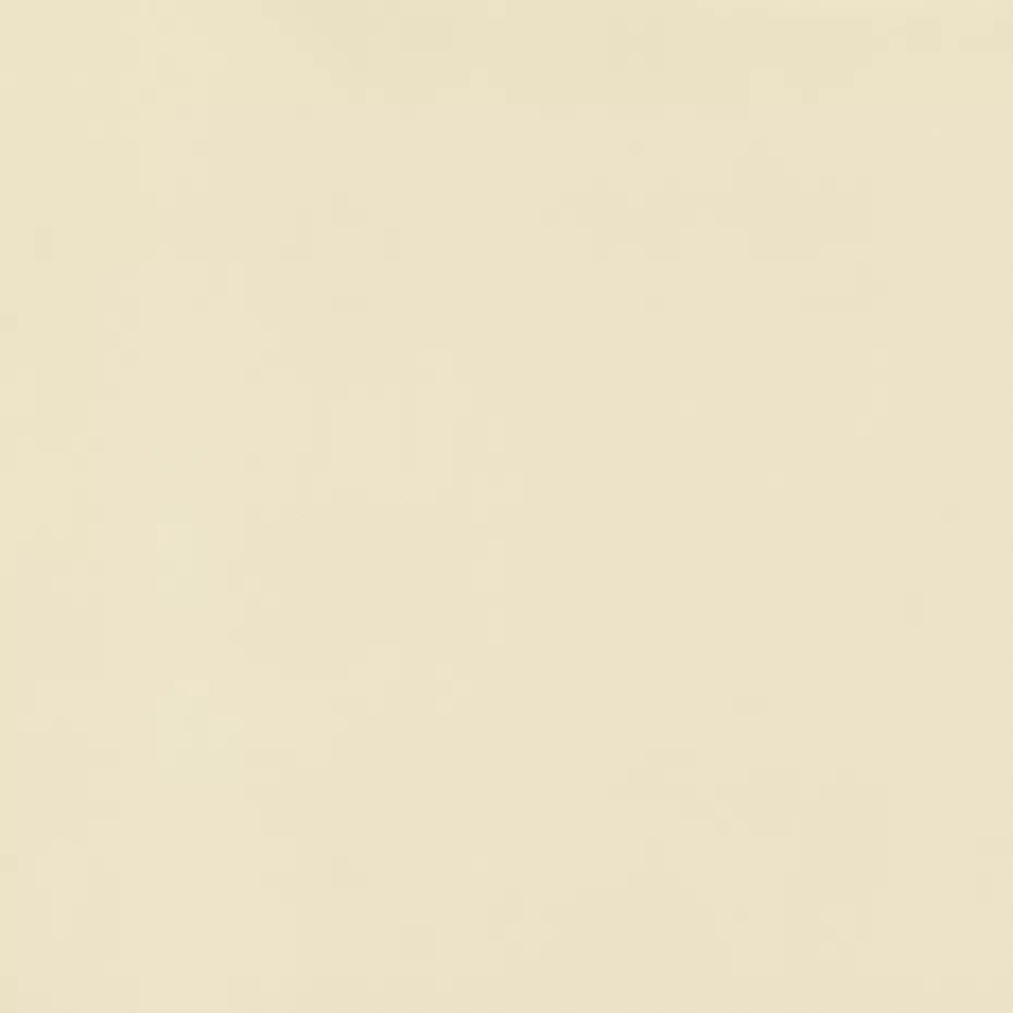 Warwick Lustrell Charisma Vinyl