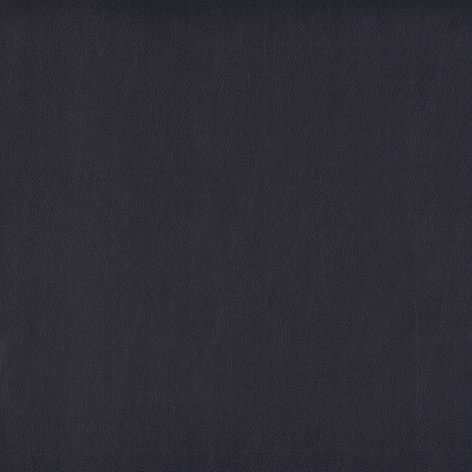 Warwick Lustrell Charisma Vinyl