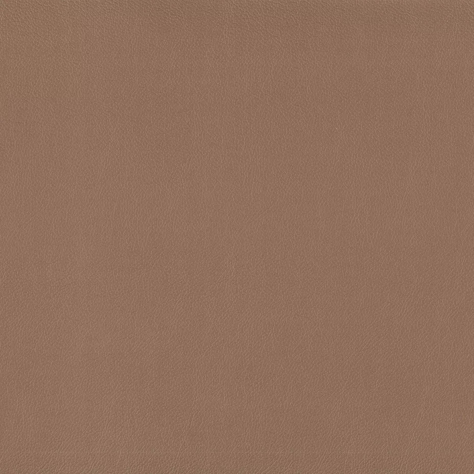 Warwick Lustrell Charisma Vinyl