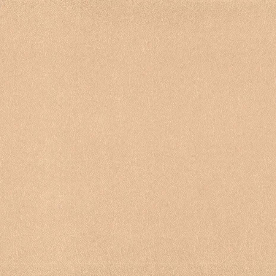 Warwick Lustrell Charisma Vinyl