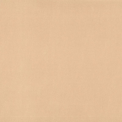 Warwick Lustrell Charisma Vinyl