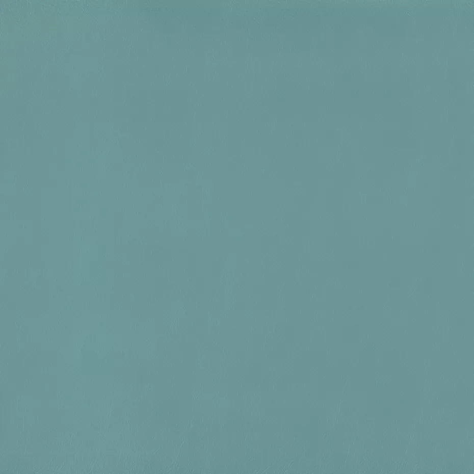 Warwick Lustrell Charisma Vinyl