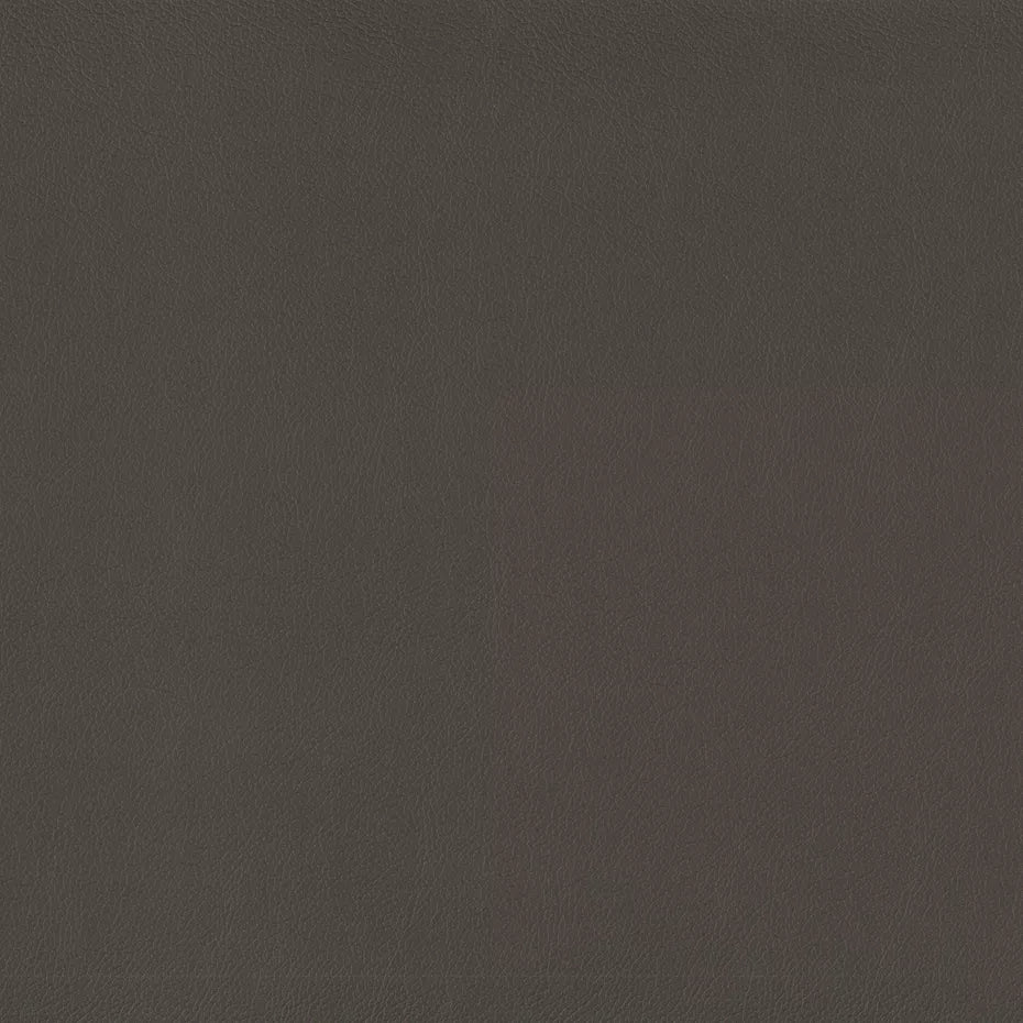 Warwick Lustrell Charisma Vinyl