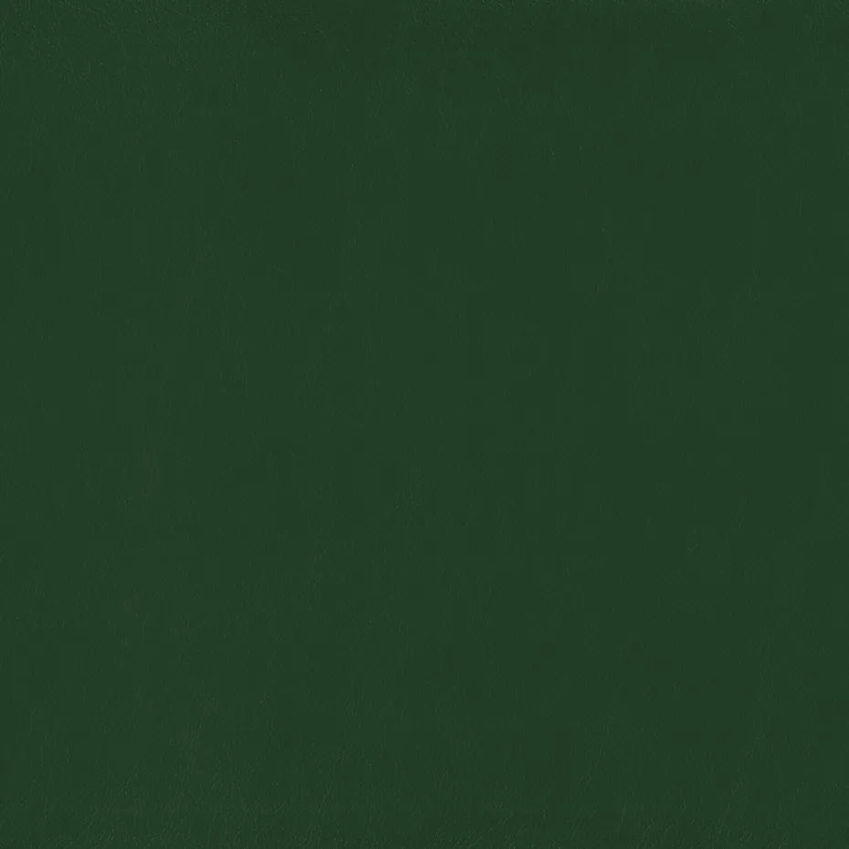 Warwick Lustrell Charisma Vinyl