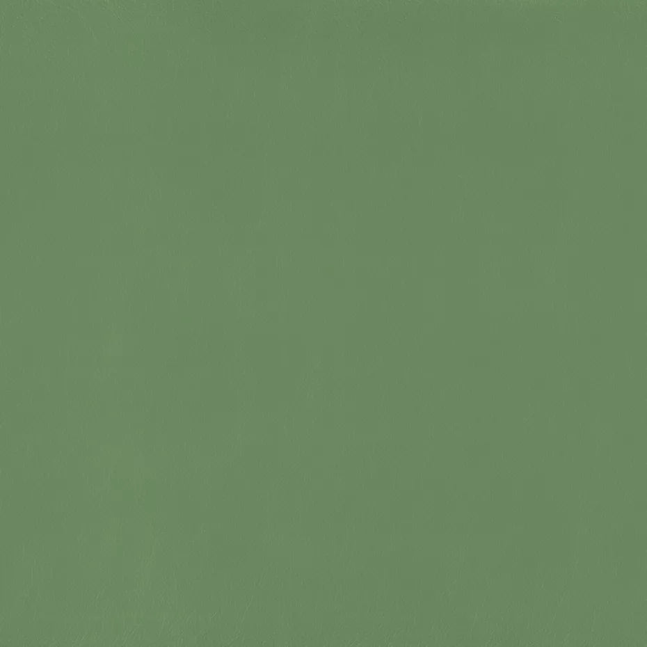 Warwick Lustrell Charisma Vinyl