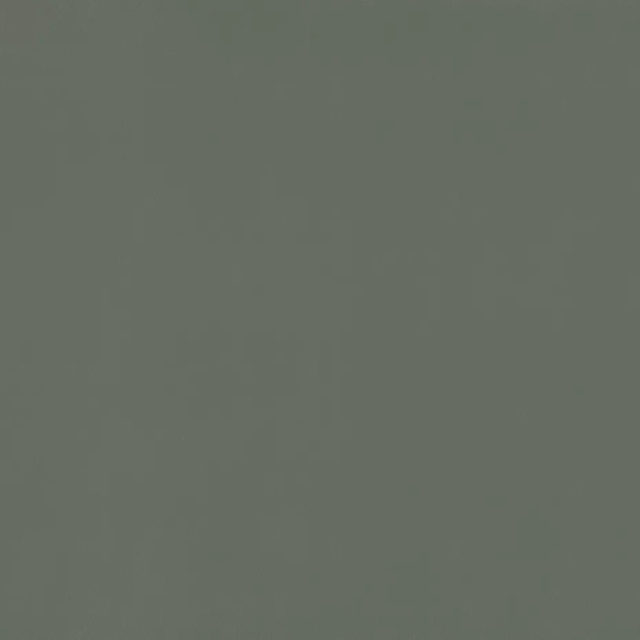 Warwick Lustrell Charisma Vinyl