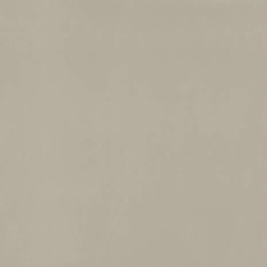 Warwick Lustrell Charisma Vinyl