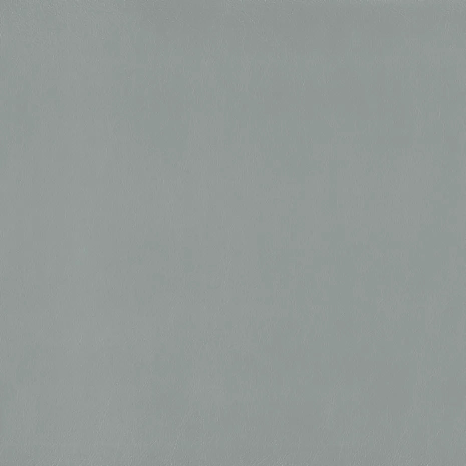 Warwick Lustrell Charisma Vinyl