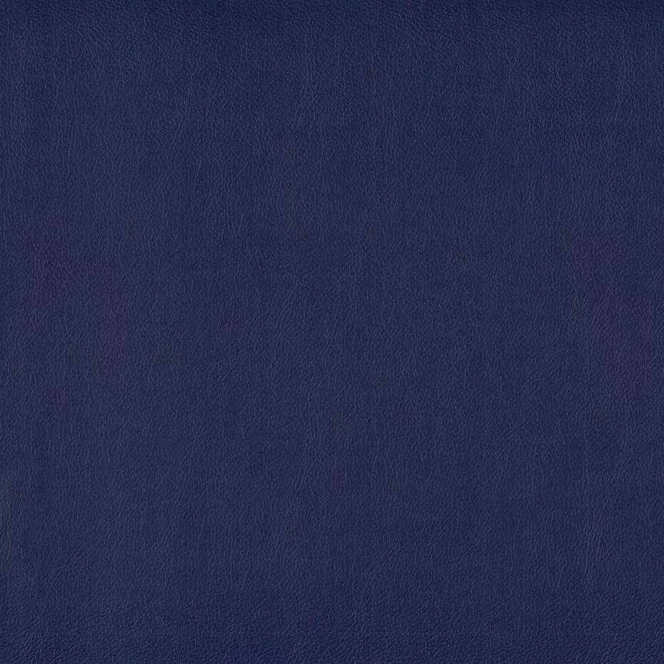 Warwick Lustrell Charisma Vinyl