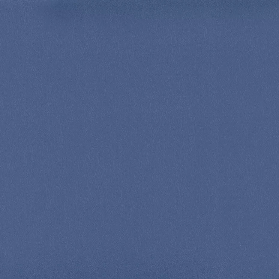 Warwick Lustrell Charisma Vinyl