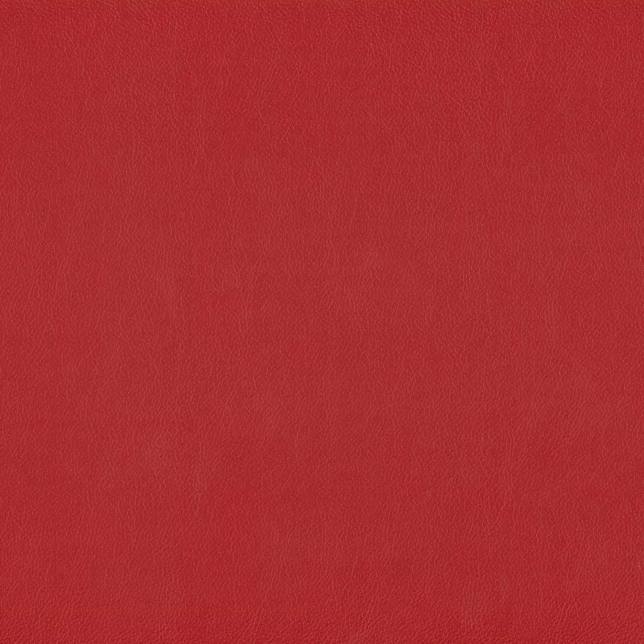 Warwick Lustrell Charisma Vinyl