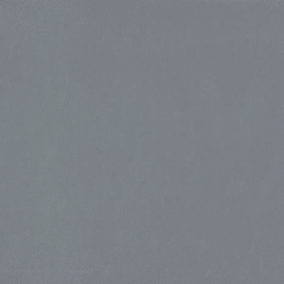 Warwick Lustrell Charisma Vinyl