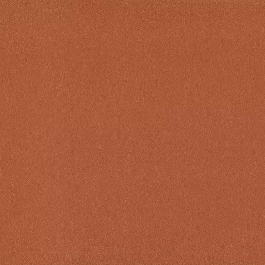 Warwick Lustrell Charisma Vinyl