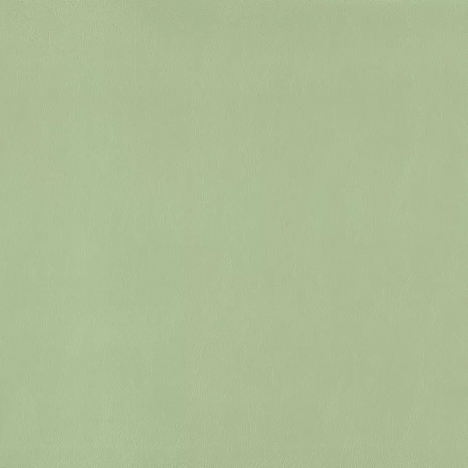 Warwick Lustrell Charisma Vinyl