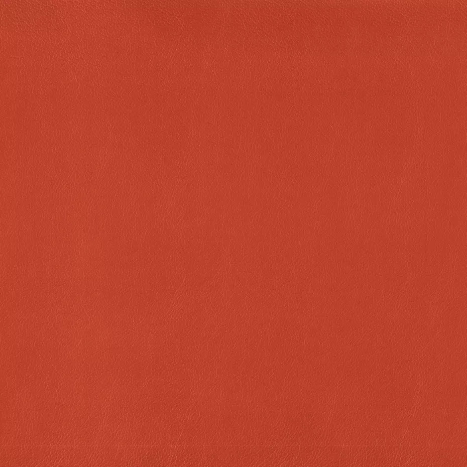 Warwick Lustrell Charisma Vinyl