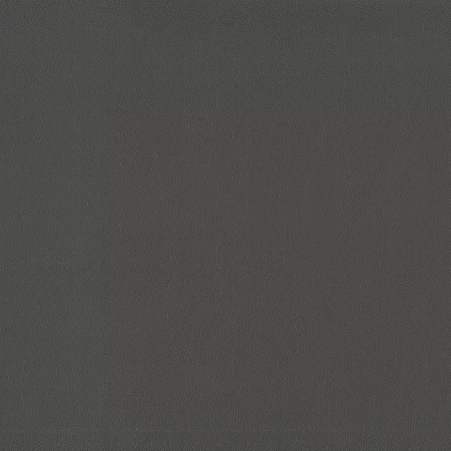 Warwick Lustrell Charisma Vinyl