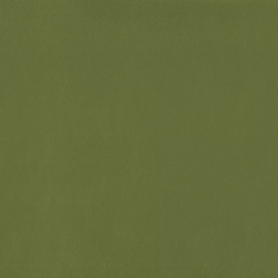 Warwick Lustrell Charisma Vinyl