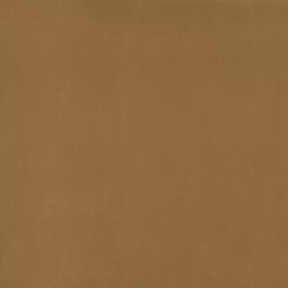 Warwick Lustrell Charisma Vinyl