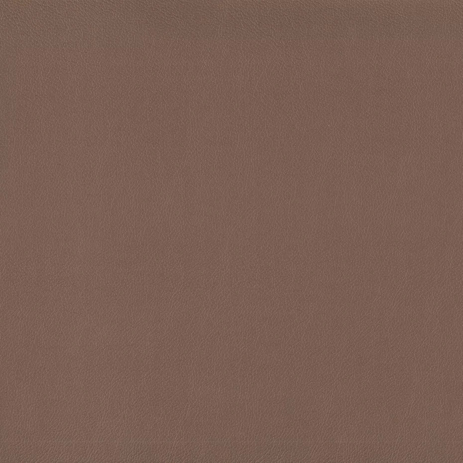 Warwick Lustrell Charisma Vinyl