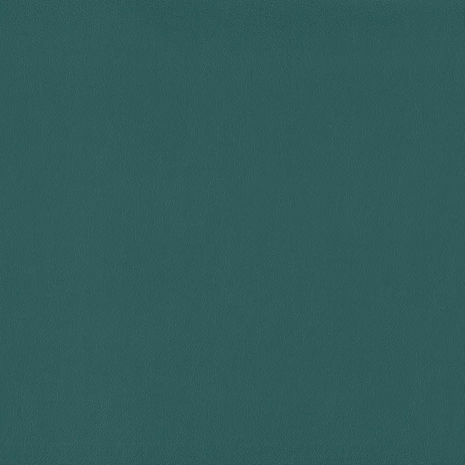 Warwick Lustrell Charisma Vinyl