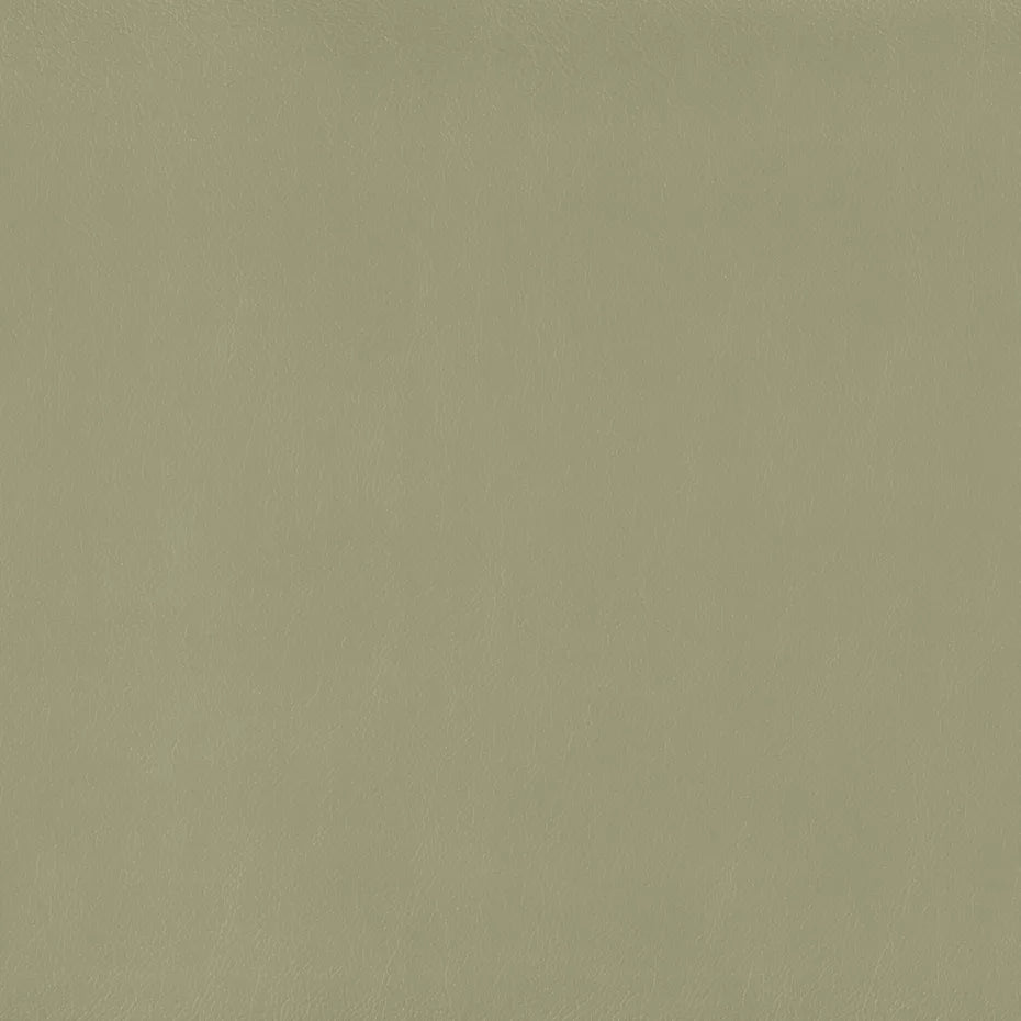 Warwick Lustrell Charisma Vinyl