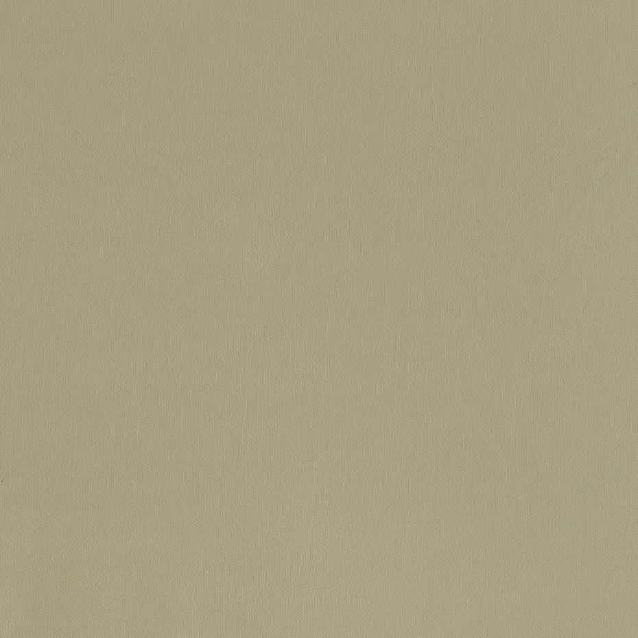 Warwick Lustrell Commodore Vinyl