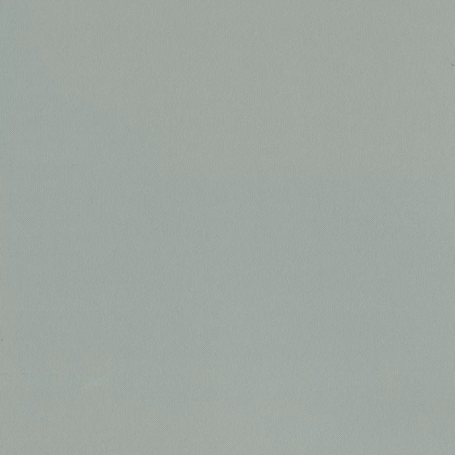 Warwick Lustrell Commodore Vinyl