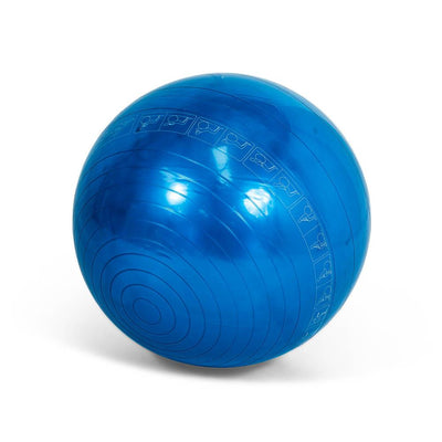 Inflatable Fitness Ball Pilates, Home Gym, Physio Foam Sales