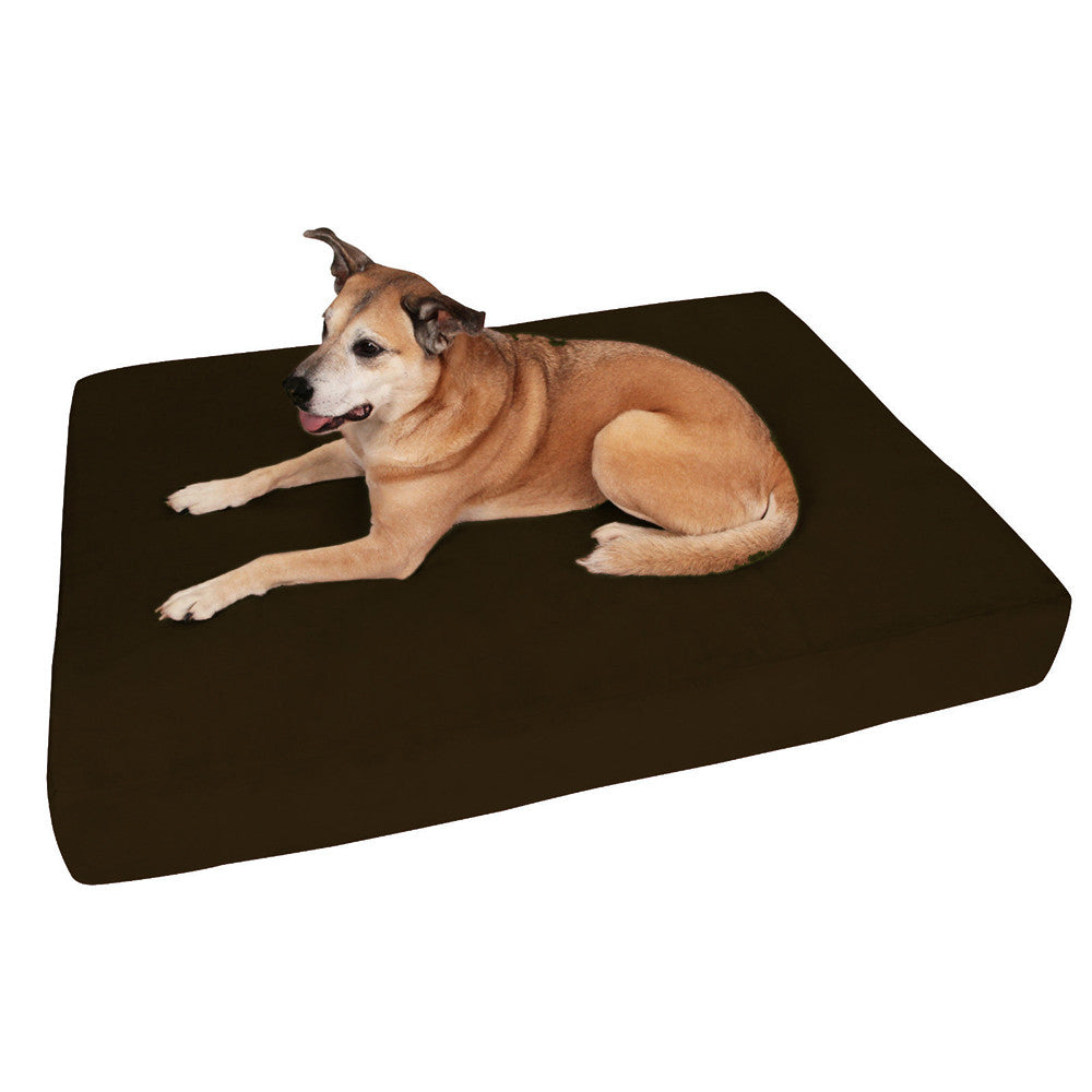Dog Beds Perth Canvas Cover Foam Sales