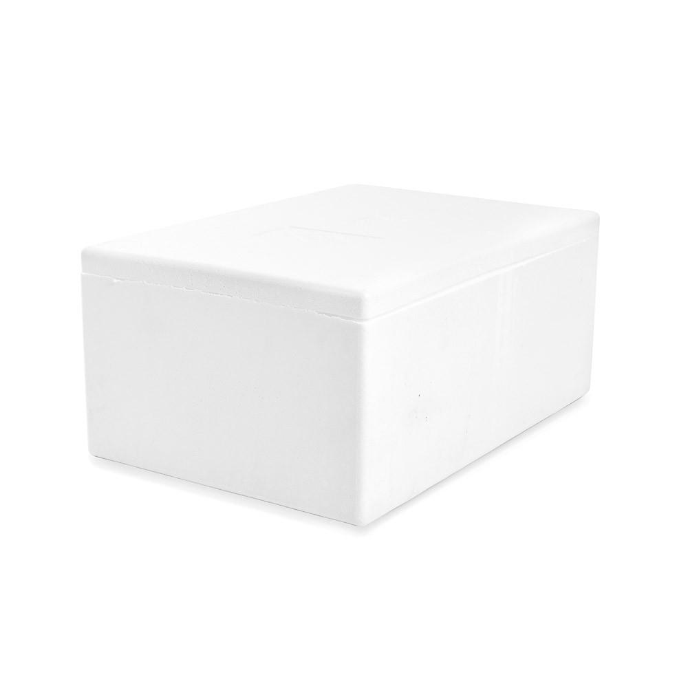 Esky Ice Box 20kg Foam Sales